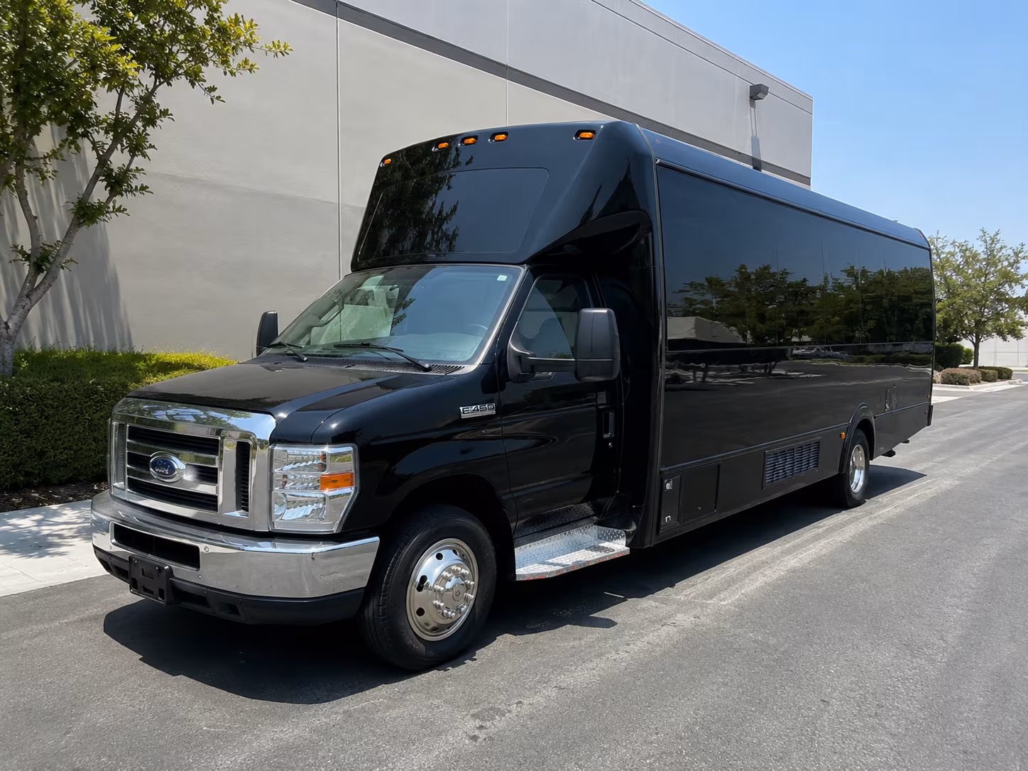 Group beside a Mercedes Sprinter limo in Brownsville