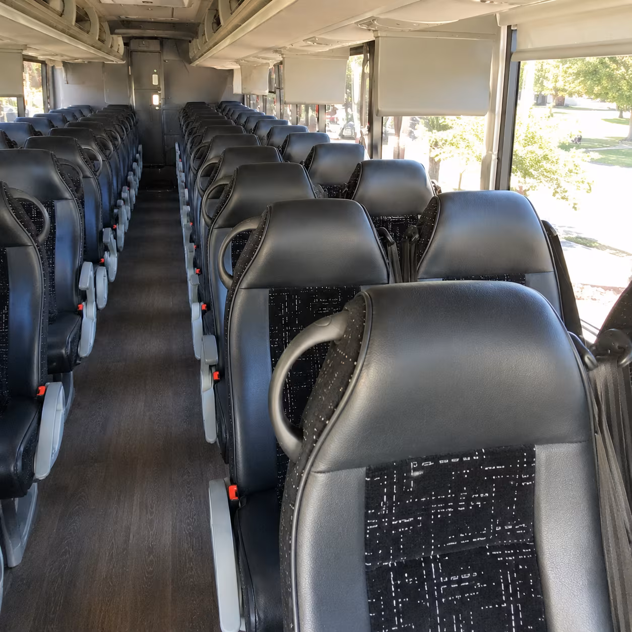 Brownsville Corporate Transportation party bus exterior
