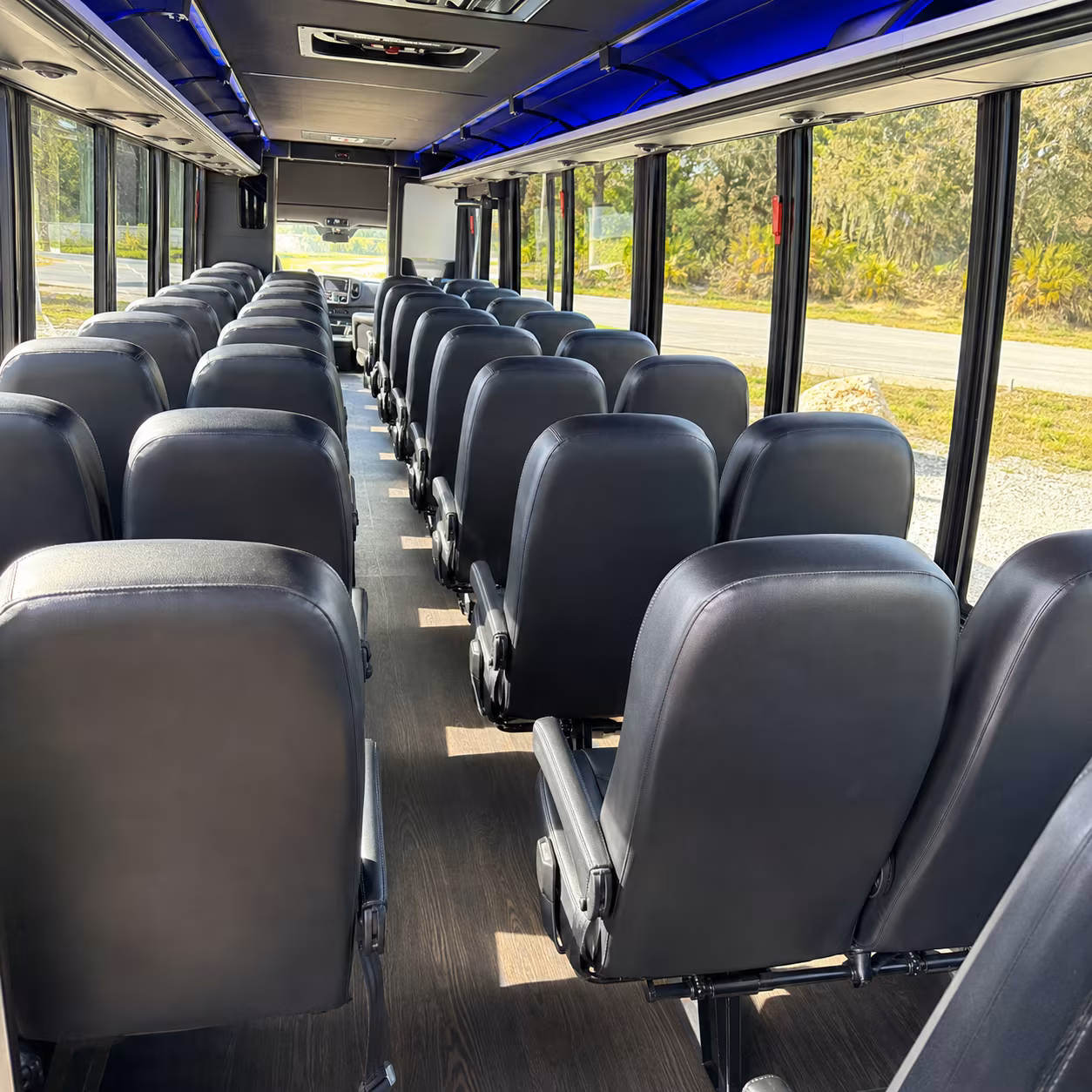 Brownsville School Event Transportation party bus exterior