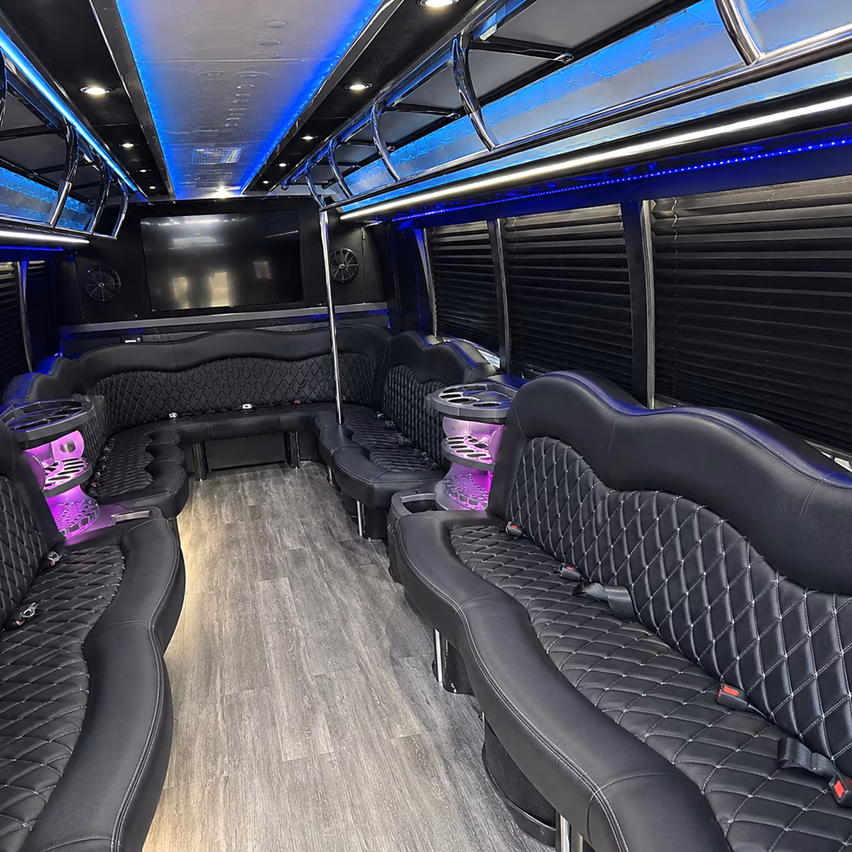 Brownsville Winery Tour & Pub Crawl Transportation party bus interior