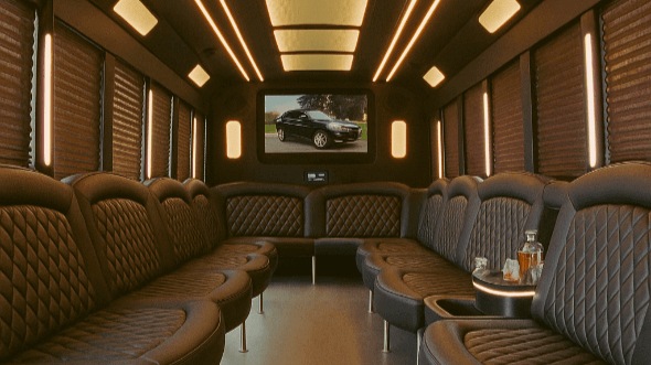 20 passenger party bus interior