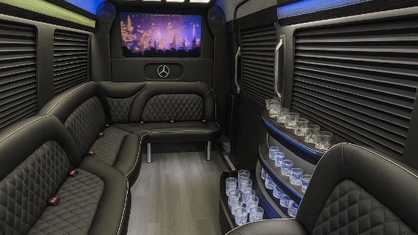 brownsville 14 passenger sprinter limousine inside
