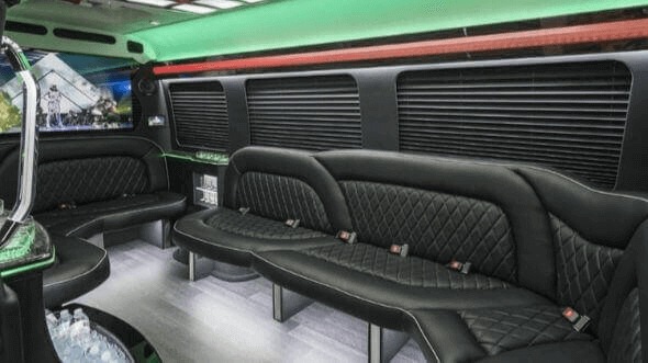 brownsville 15 passenger party bus interior