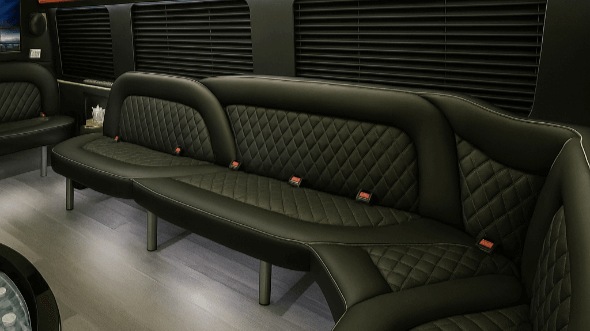 brownsville 15 passenger party bus rental