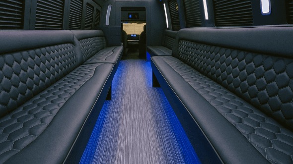 brownsville 20 passenger party bus interior