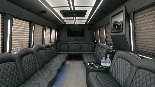 brownsville 20 passenger party bus rental