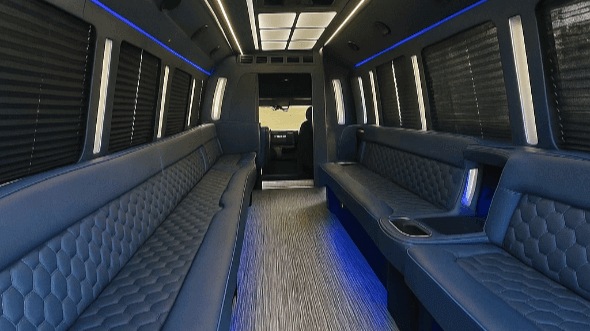 brownsville 28 passenger party bus rental