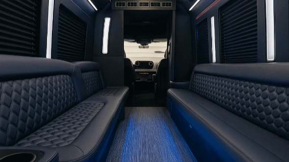 brownsville 30 passenger party bus inside