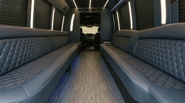 brownsville 30 passenger party bus interior