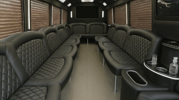 brownsville 30 passenger party bus rental