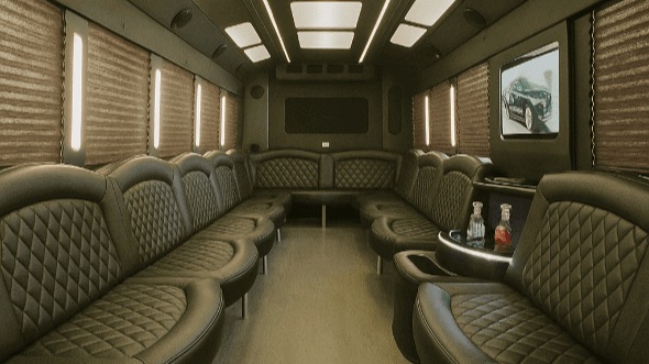 brownsville 40 passenger party bus rental