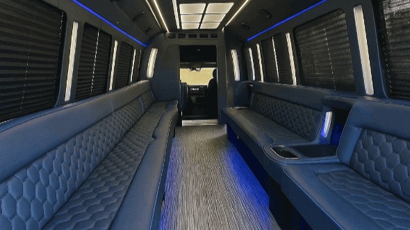 brownsville 50 passenger party bus rental
