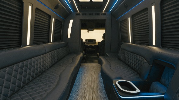 brownsville party bus rentals